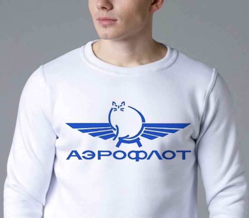 Толстый кот Виктор Аэрофлот