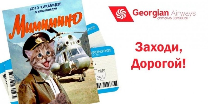 Кот Виктор Аэрофлот мемы