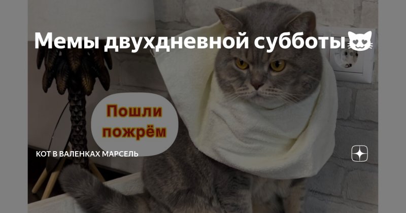 Кот в валенках Марсель