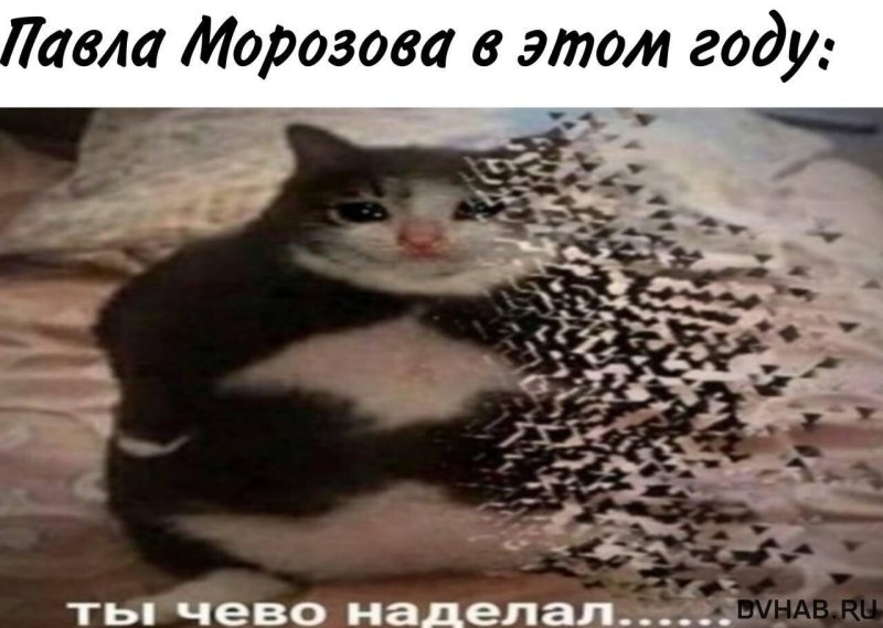 Кот растворяется