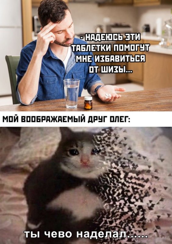 Пить Мем с котами