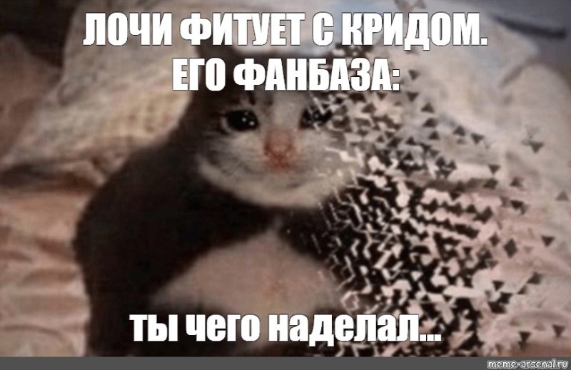Кот исчезает Мем ты чего наделал