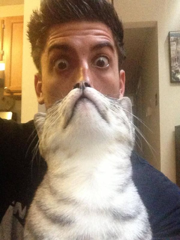 Селфи человека с котом