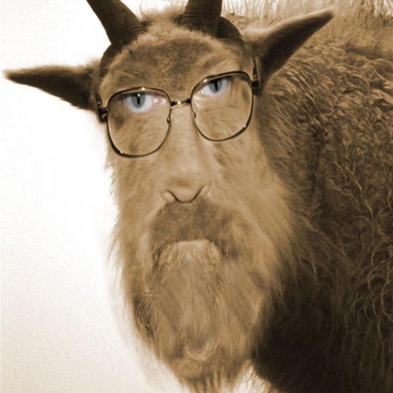 Смешной козёл