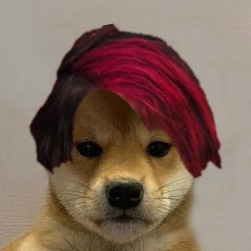 Собака панк