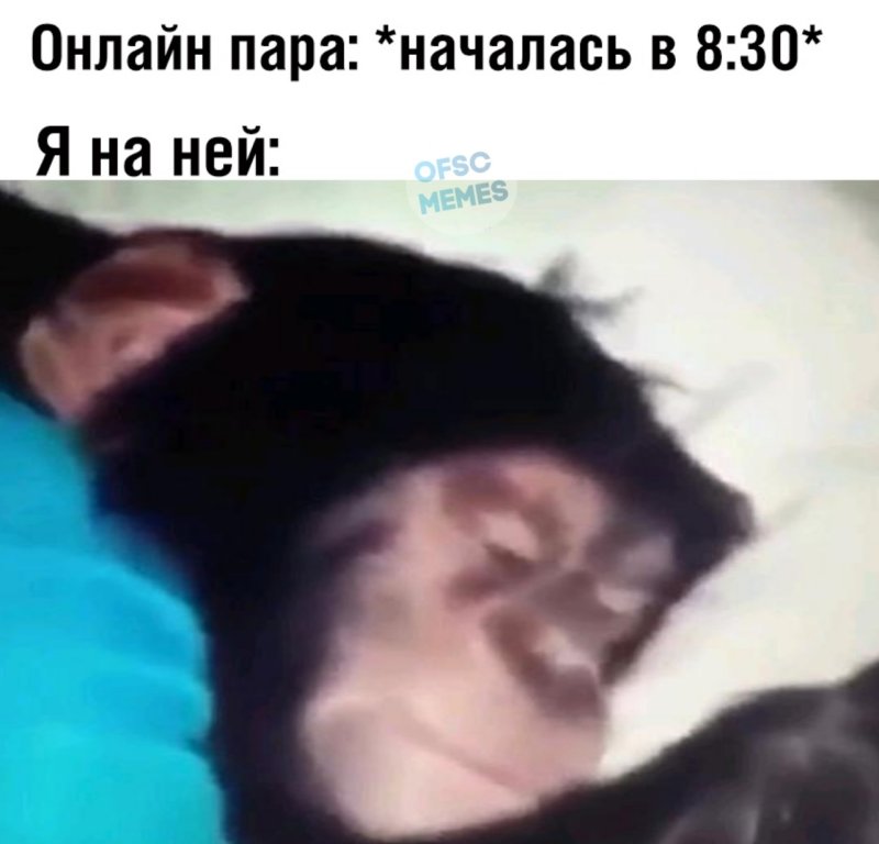 Ержан вставай на работу пора