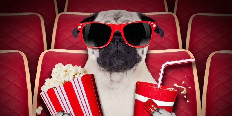 Киношка пятерка