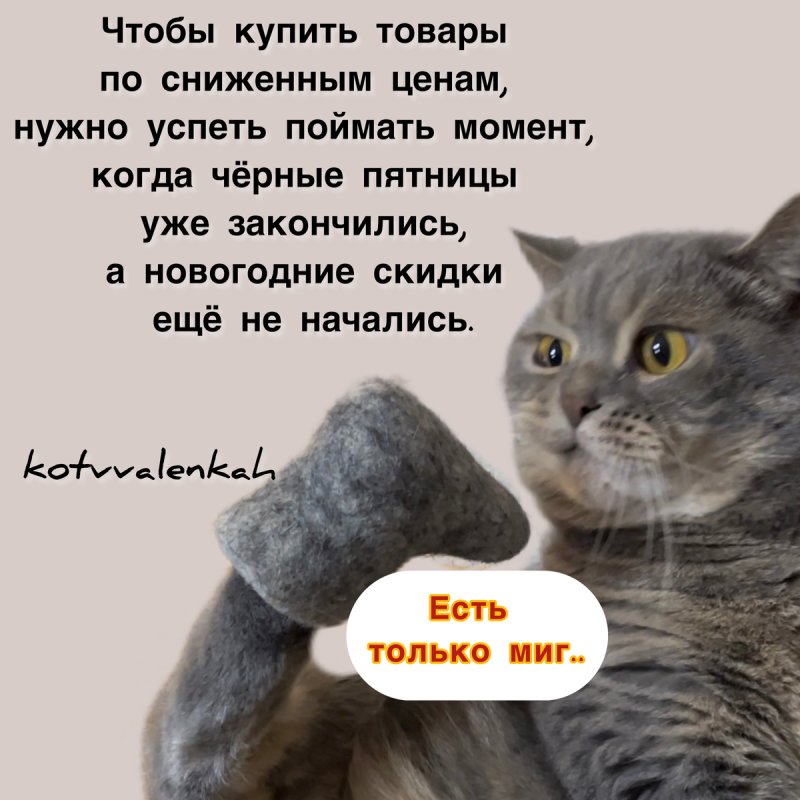 Кот в валенках Марсель