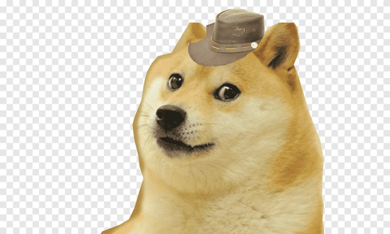 Шиба ину и Dogecoin