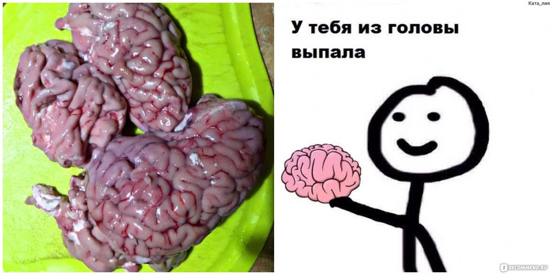 У тебя выпало Мем мозг