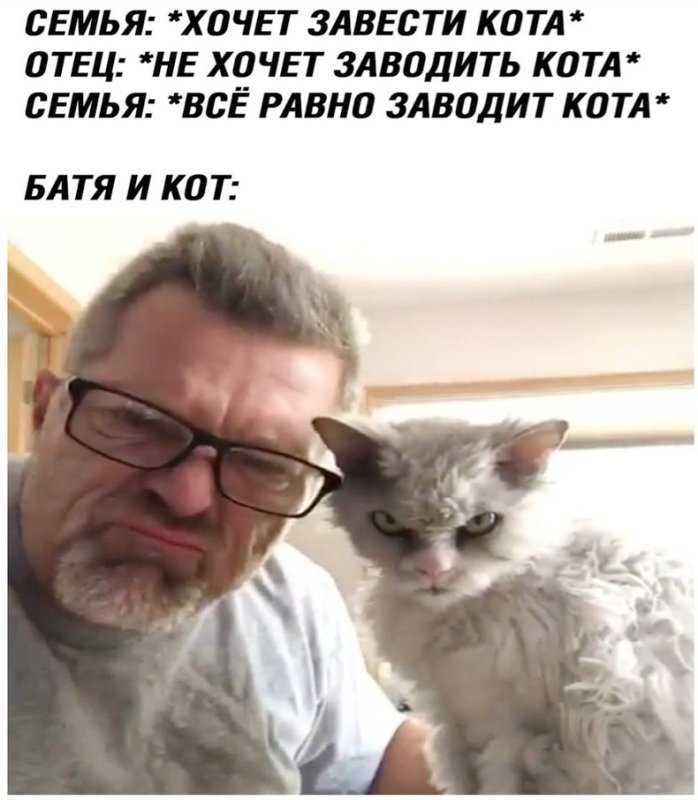 Батя и кот