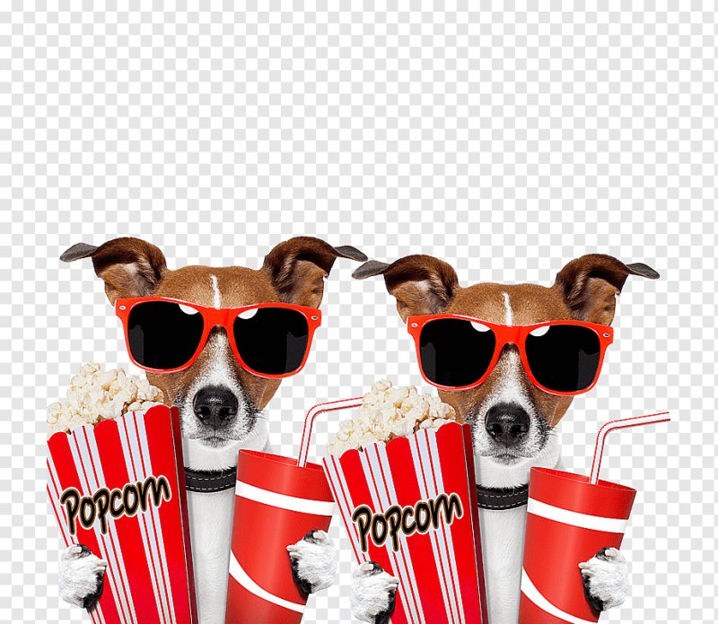 Попкорн с очками