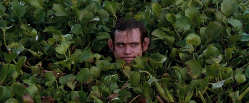 Джим Керри в болоте