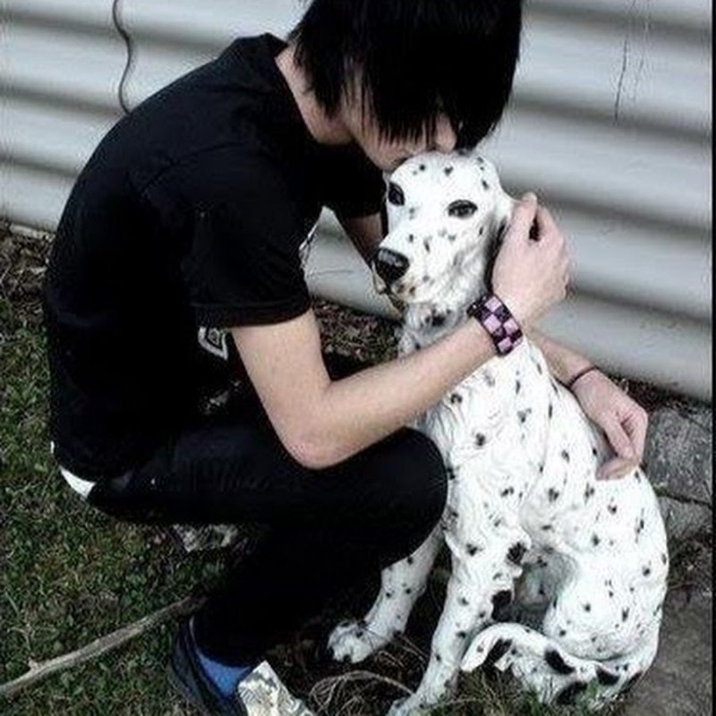 Собака неформал