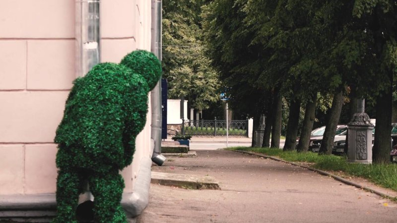 Маскировка куст