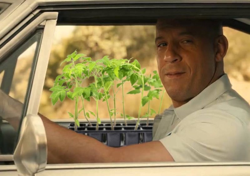 Вин дизель Форсаж