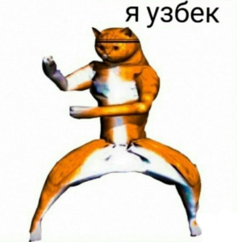 Я узбек кот