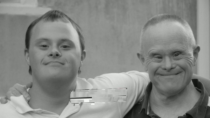 Два Дауна Мем