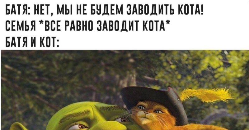 Семья хочет завести кота Мем