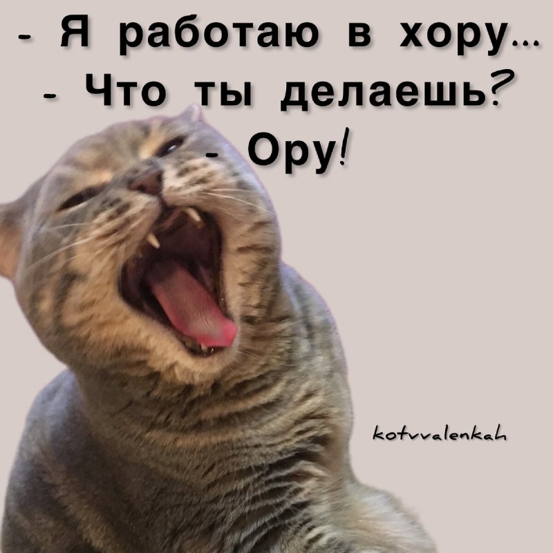 Душная суббота Мем