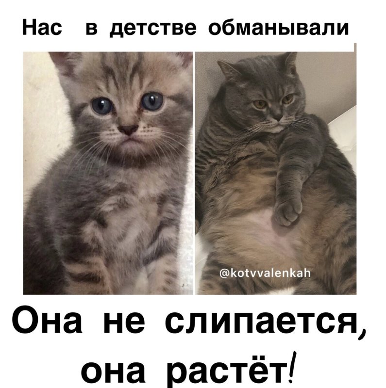 Суббота Мем