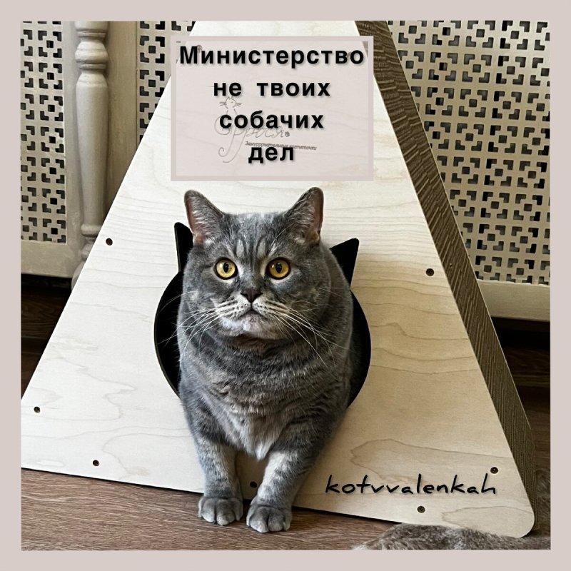 Смешные Министерства