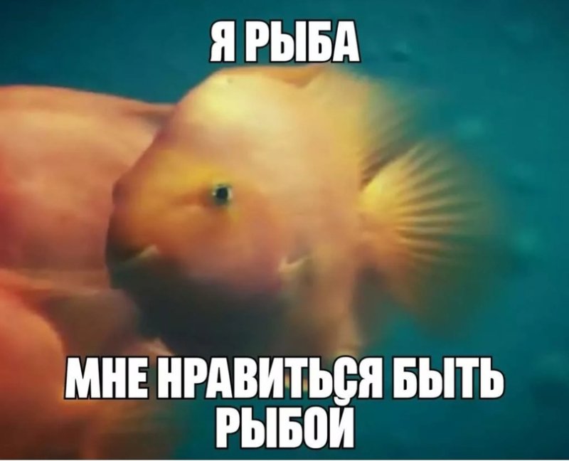 Рыба Мем