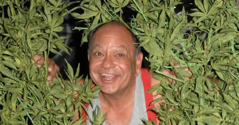 Парень с коноплей