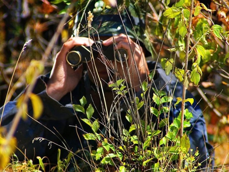 Прячется в кустах