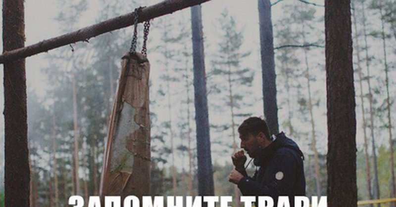 Запомните твари