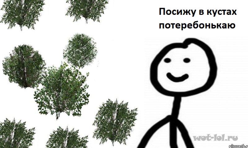 Шутки про кусты