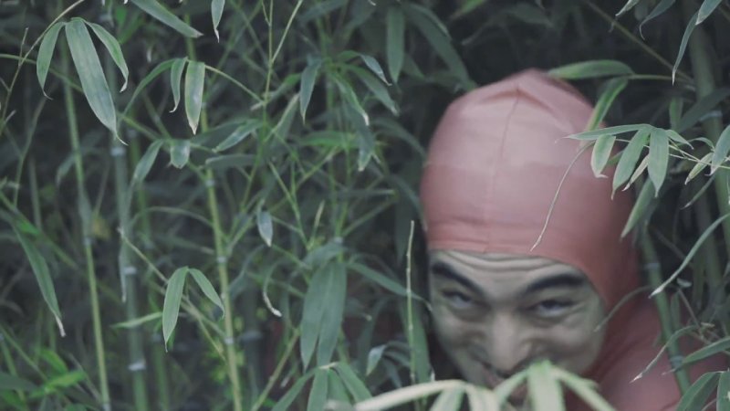 Мемы про вьетнамцев