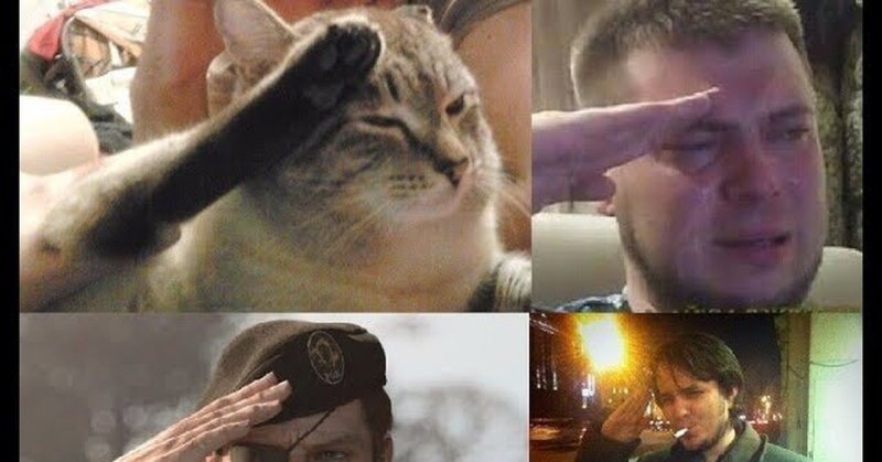 Отдать честь Мем