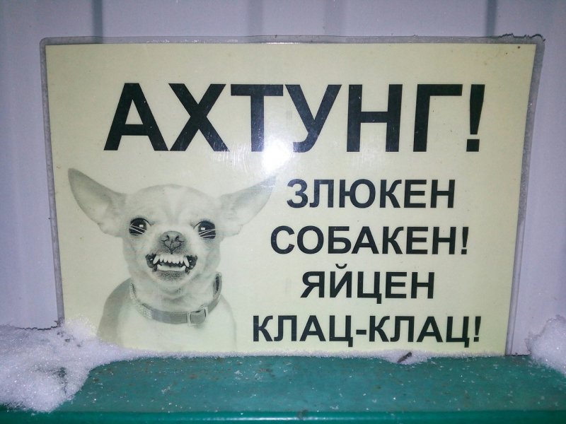 Злюкен собакен за яйцен клац клац