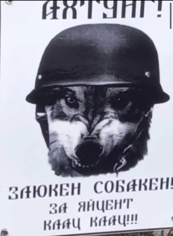 Злой собакен зубами клац