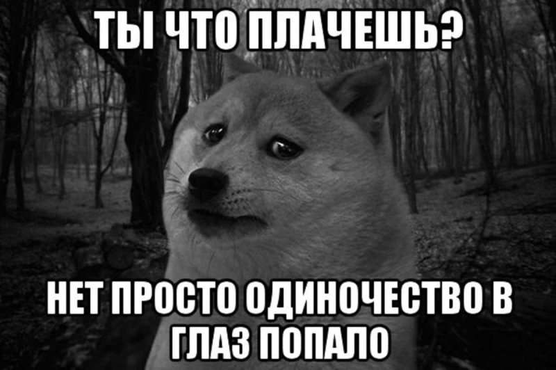 Мемы про одиноких