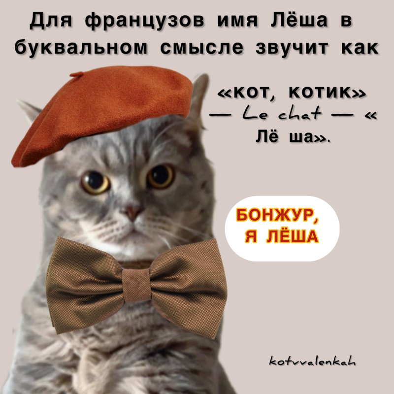 Кот в валенках Марсель