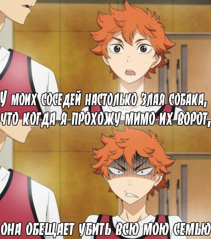 Аниме волейбол мемы