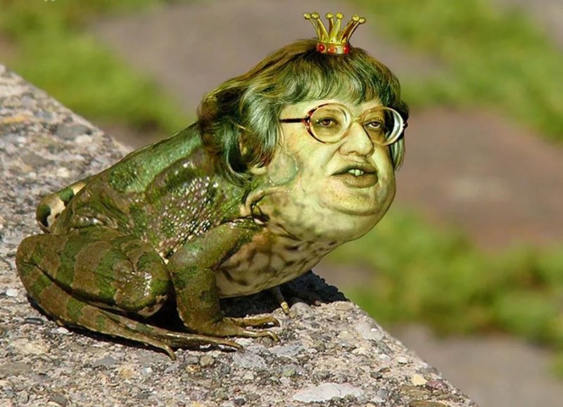 Человек лягушка