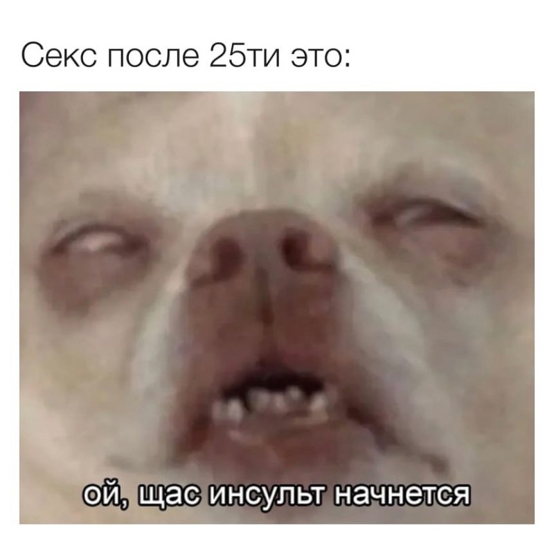 Собака закатила глаза