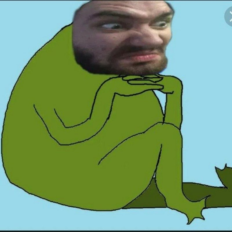 Лягушка Мем