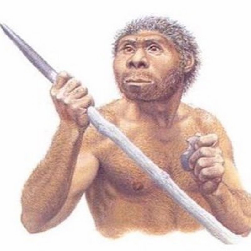 Человек прямоходящий орудия труда