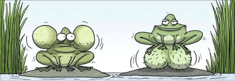 Веселая жаба