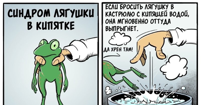 Комикс про лягушку