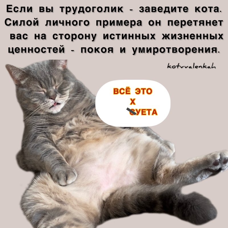 Суббота Мем