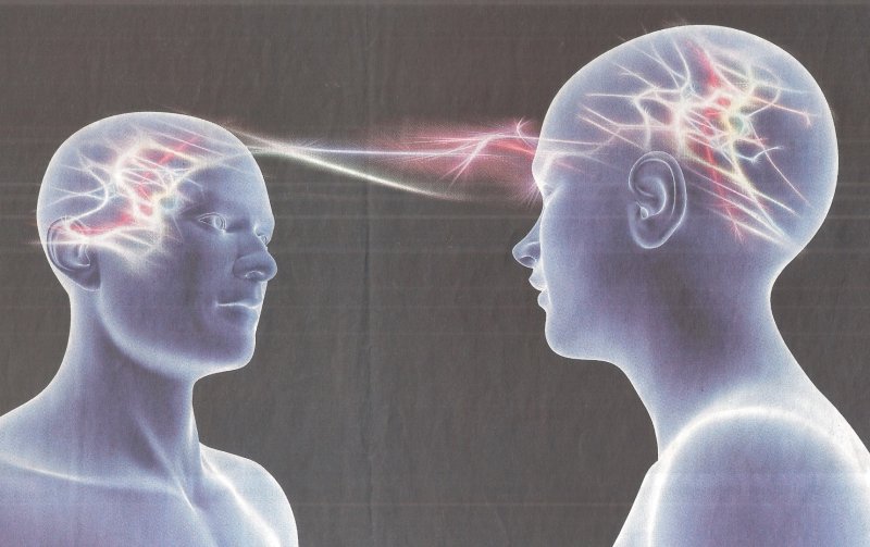 Теория зеркальных нейронов