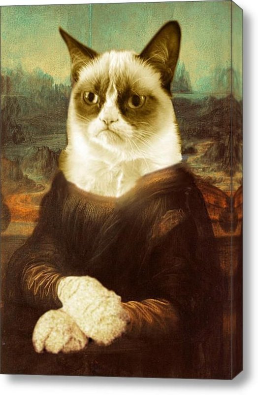 Кот картина