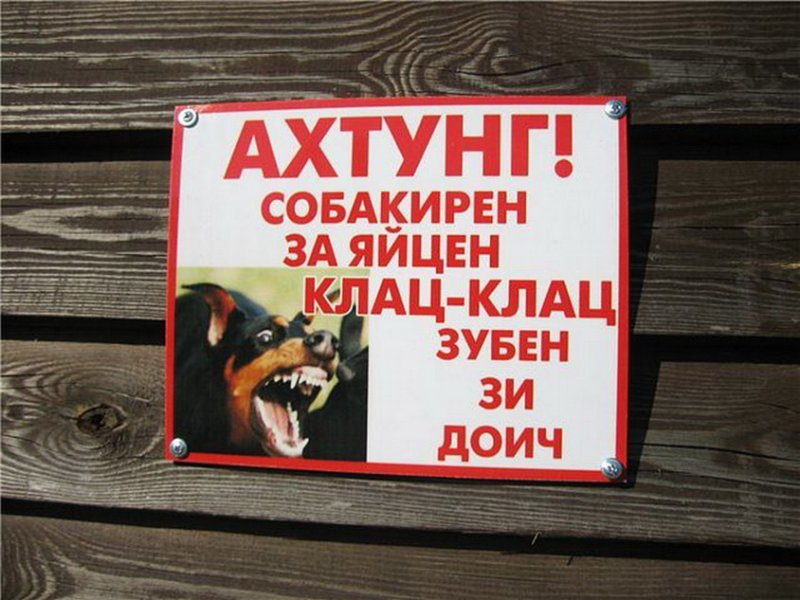 Злая собакен яйцен клац клац