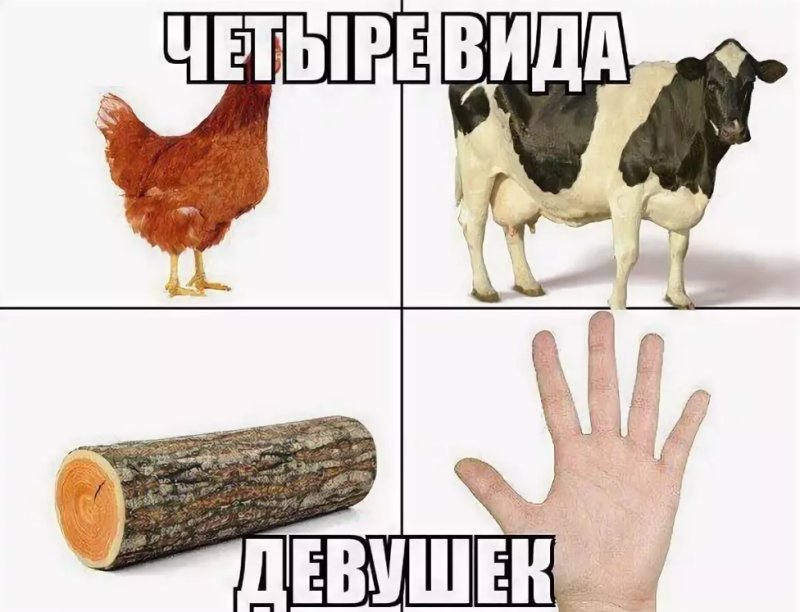 Три вида девушек Мем