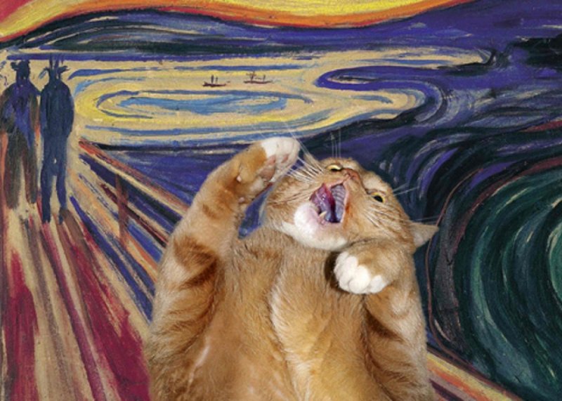 Коты в искусстве
